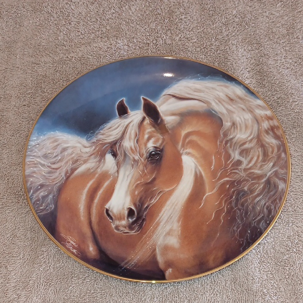 The Danbury Mint Plate with Gold Trim Golden Lights Noble and Free 1993